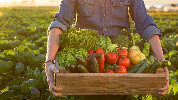 Herbalife kilo kontrol setleri ve sporcu bir kadın, sağ köşe yeşil bir banner